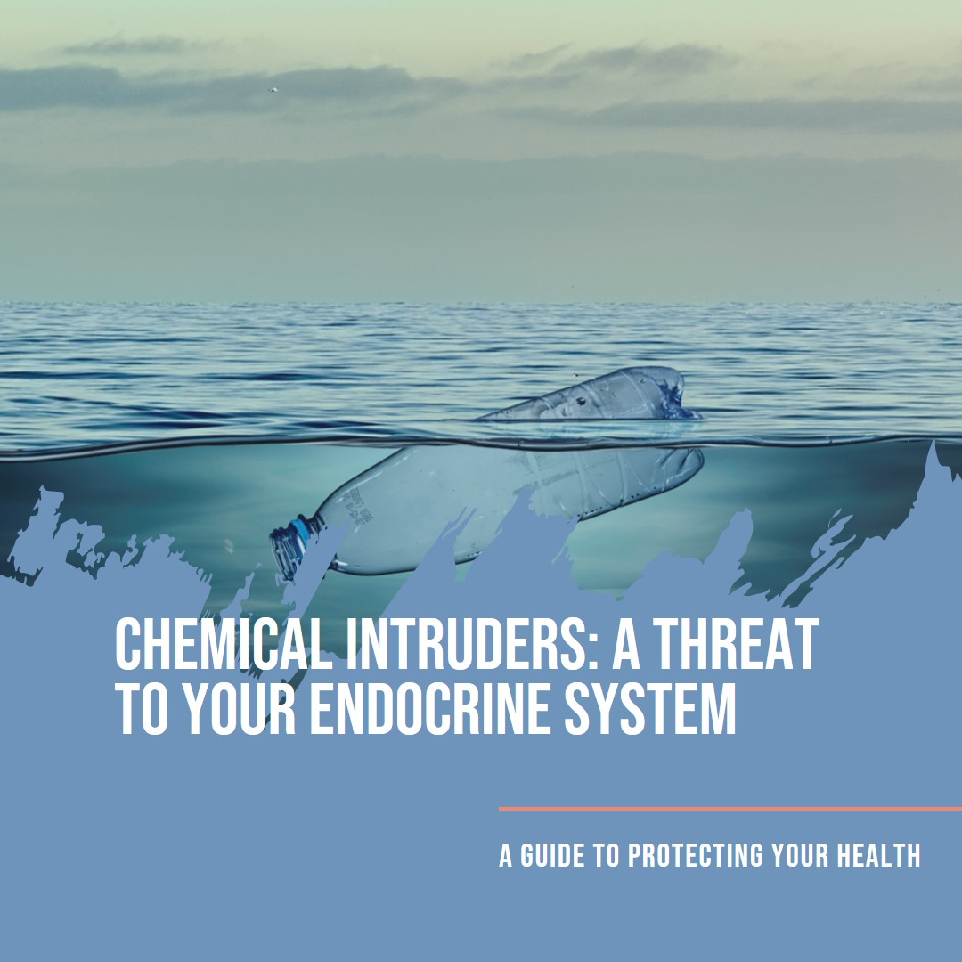 The Endocrine System's Unwanted Guests: A Guide to Chemical Intruders